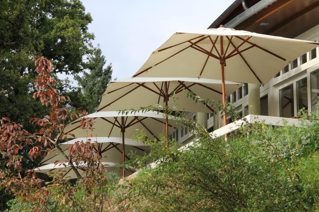 Hotel Rural Misarela جيريز المظهر الخارجي الصورة